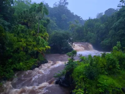 Heavy rain triggers flood warnings, road and park closures on Maui